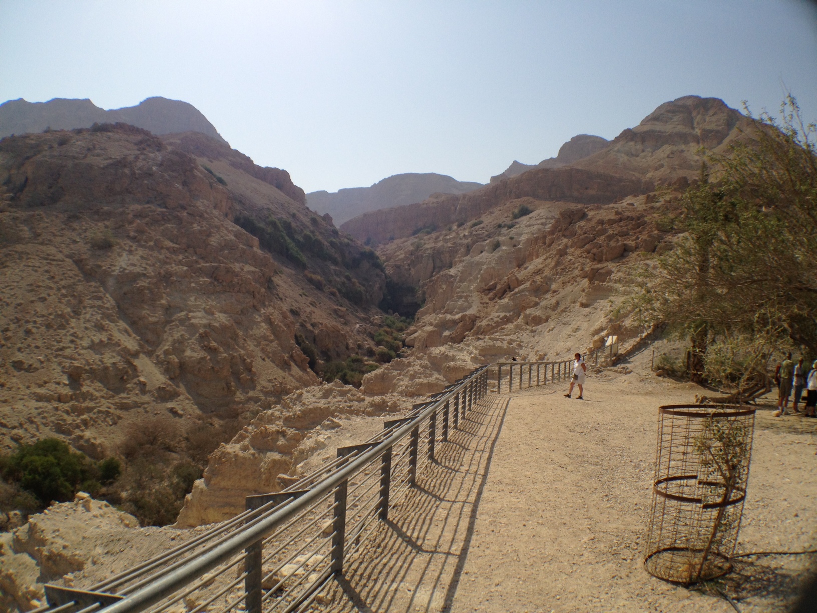 From The Spring of En Gedi