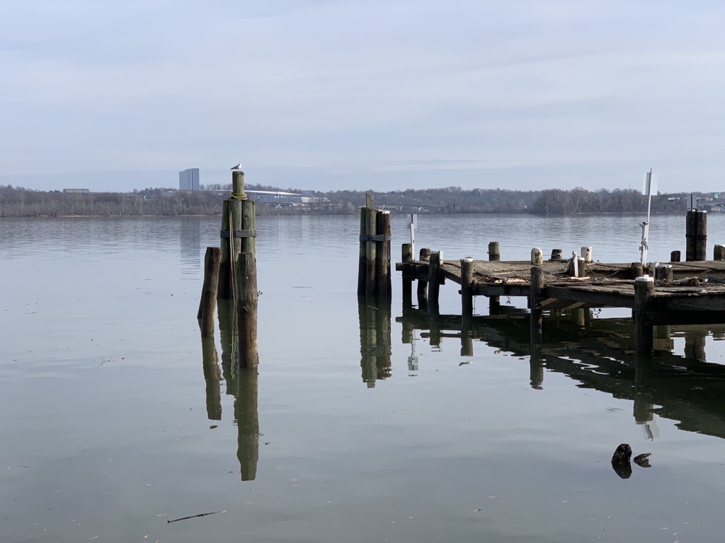 Picture of a lake dock